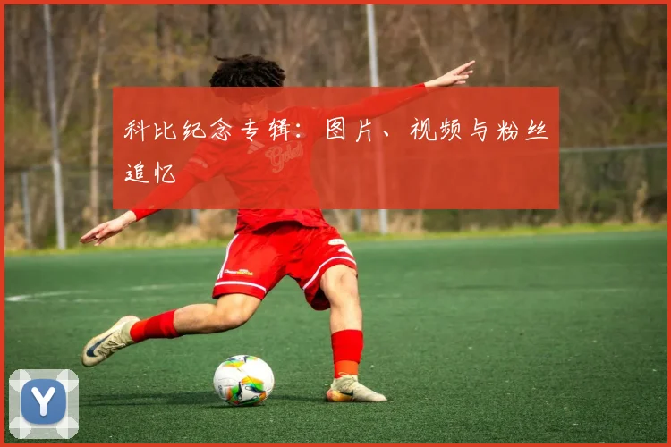 科比纪念专辑:图片、视频与粉丝追忆