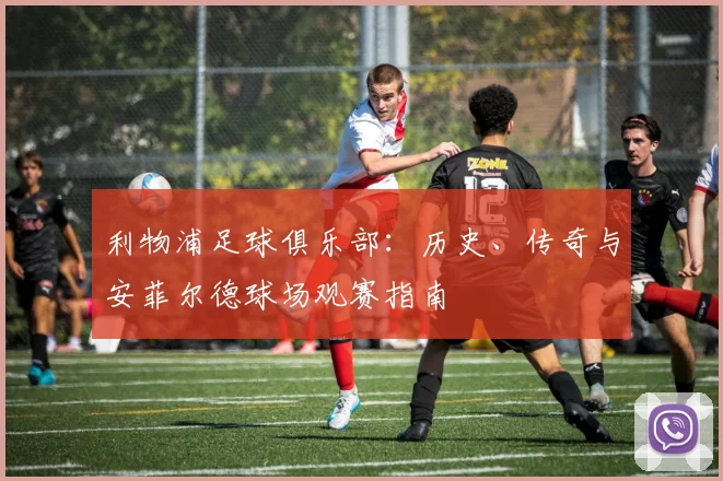 利物浦足球俱乐部：历史、传奇与安菲尔德球场观赛指南